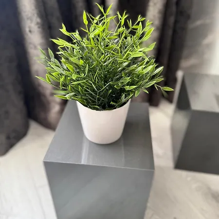 Premium شقة ستارا زاغورا